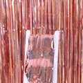 2M 3M 4M Metallic Foil Fringe Shimmer Backdrop