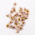 50/100pcs Multicolor Daisy Flower