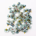 50/100pcs Multicolor Daisy Flower