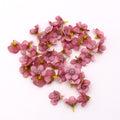 50/100pcs Multicolor Daisy Flower