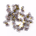 50/100pcs Multicolor Daisy Flower