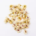 50/100pcs Multicolor Daisy Flower