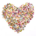50/100pcs Multicolor Daisy Flower
