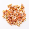 50/100pcs Multicolor Daisy Flower